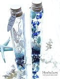 ハーバリウム 2本セット お中元 ギフトBOX入り 植物票本