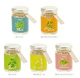 [植物 栽培 栽培セット ガーデン 手軽 癒し グリーン　ハーブ ]<br>キッチンボトル　ワイルドストロベリー