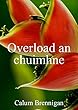 Overload an chuimhne (Irish Edition)