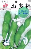 フクカエン そら豆 お多福の種（タネ）