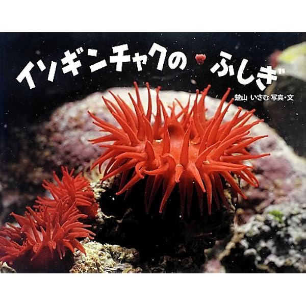 イソギンチャク。 イソギンチャクガイドブック | 内田 紘臣, 楚山 勇 |本 | 通販 | Amazon