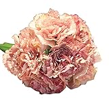 バンチあたり6花偽の花のカーネーションシルクフラワーブーケ