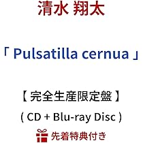清水翔太/Pulsatilla cernua/【完全生産限定ファンクラブ限定盤】 清水翔太/Pulsatilla cernua/【完全生産限定ファンクラブ限定盤