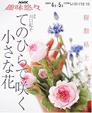 樹脂粘土クラフトてのひらで咲く小さな花 (NHK趣味悠々)