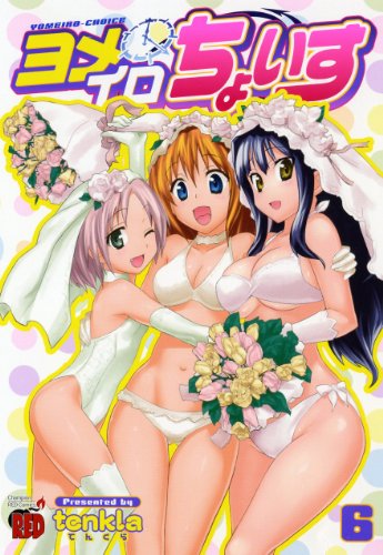 『ヨメイロちょいす』6巻