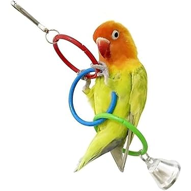 Amazon.co.jp 最新リリース: 鳥用品 の新着ランキングです。