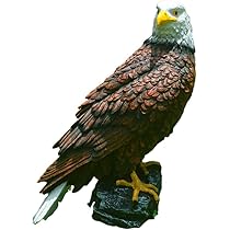51AaEiehVvL._AC_UL210_SR210,