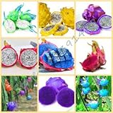 50pcs/ bag rare 9 kinds of pitaya seeds, very beautiful fruit seeds dragon fruit seeds mix