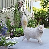 ねこの一日