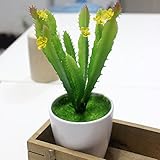 卓仕朗 造花　人造 多肉植物 ミニ　観葉植物 インテリア　ウチワサボテン　　輪生の花