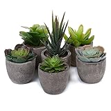 T4U 造花アレンジ 人工多肉植物(三)SET.1 インテリア プレゼント 6点セット