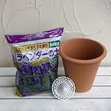 ラベンダー植え込みセット大株用（鉢・専用用土・鉢底ネット）[7号サイズ テラコッタ] ノーブランド品