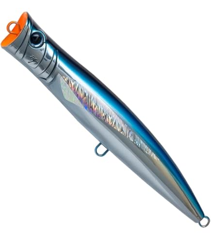 Amazon.co.jp: パームス(Palms) BKH-165 グランバイツ ブレイク