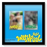 B.D.U - 1st Mini Album [ Wishpool ] 韓国盤 (Flash Ver.) [並行輸入品]