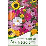 種をまくために* 1パケット急成長中のワイルドフラワーミックスの種200種*簡単、花迅速*ガーデンフラワーミックス*【送料無料】