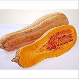 15pcs Vegetable and fruit seeds Honey this pumpkin seeds very sweet Bonsai plants Seeds for home & g