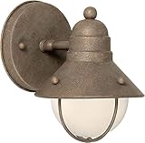 Forte Lighting 1098-01-09 Exterior Wall Light with No Shades, Desert Stone [並行輸入品]