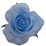 ヴァリエローズ M ブルー 61-10002-16