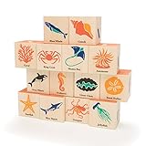 Uncle Goose Ocean Blocks - Made in the USA