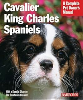 cavalier king charles spaniel separation anxiety
