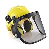 TR Industrial Forestry Safety Helmet and Hearing Protection System [並行輸入品]
