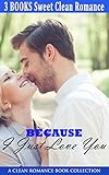 Because I Just Love You Romance: A Clean Romance Book Collection (English Edition)
