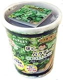 フォレスト カップサラダ ぼくパクチー パクチー(コリアンダー) お部屋で園芸! 種まきセット 栽培キット