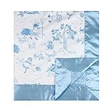 My Blankee Bedtime Story Minky Blue w/ Minky Dot Blue Baby Blanket, 30 x 35