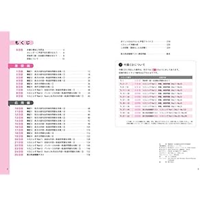 【CD付】DAILY25日間 英検準1級集中ゼミ 新試験対応版 (旺文社英検書)