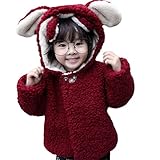 Karchi 　女の子 韓国風 パーカー コート フード付き　 可愛い　暖かい　防寒 ガールズ 春 長袖　カジュアル 　厚手アウター 通学 通園 可愛い シンプル 無地 　 (100, 赤)