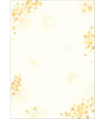 【新品未使用】Panasonic VW-MPA50 ビデオプリントセット Panasonic - Panasonic ビデオプリントセット VW-MPS50の通販 by