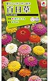 タキイ種苗 百日草 サンボウ混合