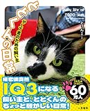 ととくんの日常 そして君のための飼い主