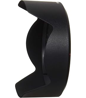 Amazon | パナソニック(Panasonic) DMW-LFAC1-S LUMIX 自動開閉