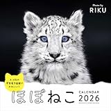 2026　ほぼねこカレンダー