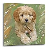 3dRoseミニチュアプードル子犬掛け時計、15 x 15インチ(DPP_4815_3)、さまざま