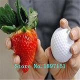 ビッグセール500枚イチゴ種子美しく、おいしいイチゴ+ !! フルーツの種子