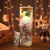 DABURYU プリザーブドフラワー ハーバリウム 花 LEDライト付き バレンタインデー プレゼン ギフト お礼 結婚祝い 誕生日 (高貴紫)