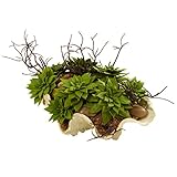 Nearly Natural Home Indoor Decorative Tabletop Succulent Garden with Seashell
