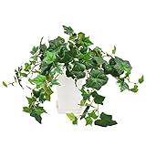 GREENPARK アイビー スクエアポット UV＆防水加工 造花 フェイクグリーン