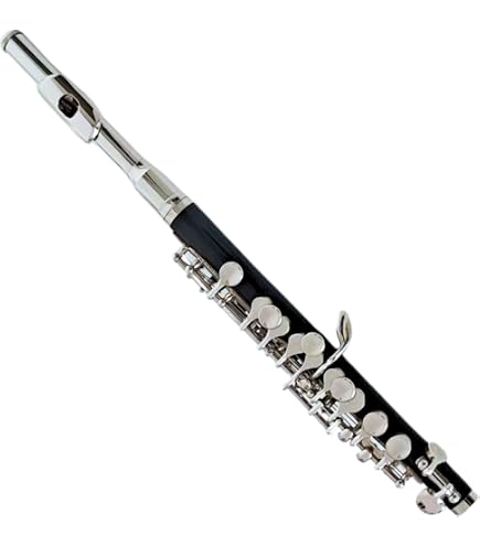 Amazon | Pearl PFP105E Piccolo Flute | ピッコロ | 楽器・音響機器