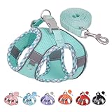 ペット用ハーネス犬 ハーネス超小型犬のハーネス 中型犬歩行、ランニング、トレーニングに便利な犬用ハーネスとベルトセット小型犬用ハーネス、小中型犬用ハーネス (XS, オレンジ色)