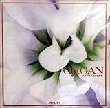 �p�C�v�I���K����D��