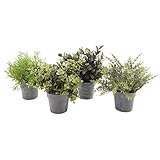 ブリキプランター入り 人工観葉植物 ※種類は選べません (ワンサイズ) (ランダム)