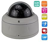 ENSTER 3.0MP Vandalproof Metal Dome POE camera Varifocal Lens 30pieces IR LED Mobile Phone View 1/3"