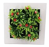 Mille Ti Rana 壁に掛けれる インテリア グリーン 造花 観葉植物 多肉植物 ３D アート フラワー … (赤1)