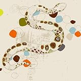 Greenbox Art + Culture Sidewinder Snake Stretched Canvas Wall Art by Andrea Cobb, 14 by 14-Inch [並行輸
