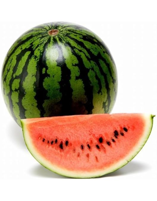 Amazon.co.jp: vegepple 2025年 すいか 熊本県産 Mサイズ規格5kg以上