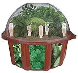 Dunecraft Culinary Herb Garden [並行輸入品]