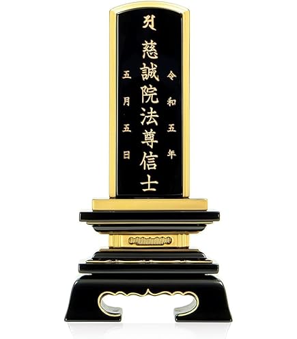 c*n様 ザミアフルフラセア（メキシコソテツ）厳選品　8寸 ザミアフルフラセア（メキシコソテツ）厳選品 8寸 総重量約7キロ